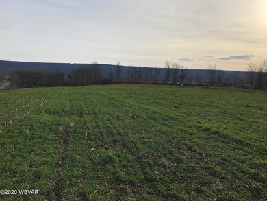 978 Cooley Rd, Allenwood, PA 17810 - photo 6