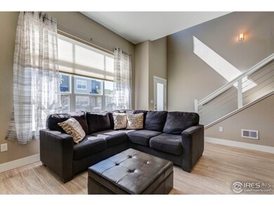 851 Baum St unit D, Fort Collins, CO 80524 - photo 5