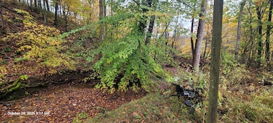 1121 Breeding Rd, Edmonton, KY 42129 - photo 3