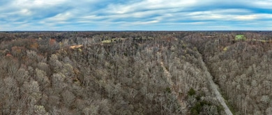 1438 Wartrace Rd, Red Blng Springs, TN 37150 - photo 2