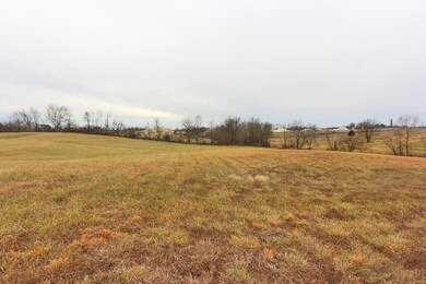 549 Eli Dr, Jackson, MO 63755 - photo 5