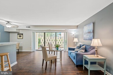 6135 Leesburg Pike unit 105, Baileys Crossroads, VA 22041 - photo 2