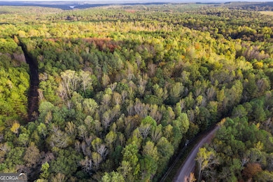 2100 Star Point Rd, Carrollton, GA 30116 - photo 3