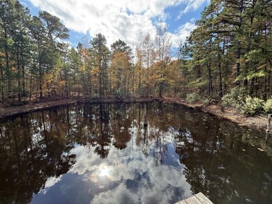 Stag Rd, Gilmer, TX 75644 - photo 6