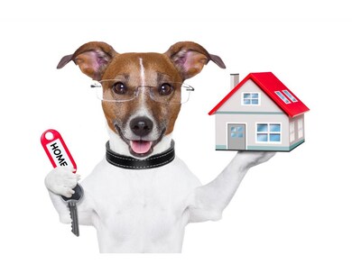 Build your dream home