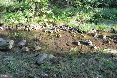 564 Delta Road 2, Mathias, WV 26812 - photo 7