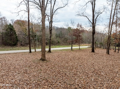211 Rocky Branch Rd, Blountville, TN 37617 - photo 6