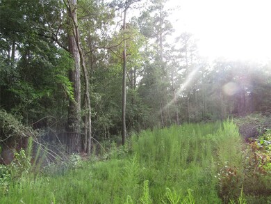 2.53 Acres Hackberry Dr, Plantersville, TX 77363 - photo 3