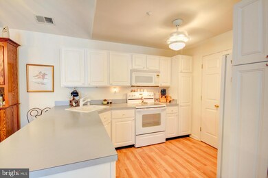 2003 Rudy Serra Dr unit 3C, Sykesville, MD 21784 - photo 6