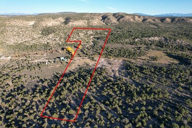 0 State Road 341 unit 202505052, Petaca, NM 87554 - photo 7