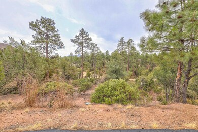 505 N Grapevine Dr, Payson, AZ 85541 - photo 6