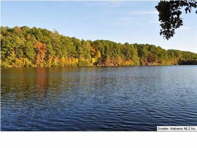 One of the neighborhood lakes.  This neighborhood 