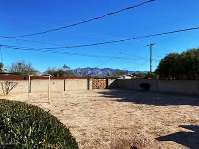Backyard 2