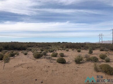 000 Sands Rd NW, Deming, NM 88030 - photo 6