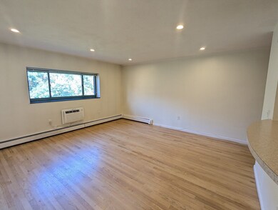 15 Walbridge St unit 31, Allston, MA 02134 - photo 6