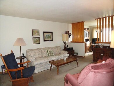 Plastered walls and hardwood floors under carpet