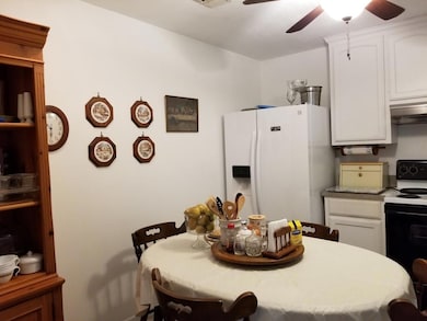 Kitchen with ceiling fan, white refrigerator with