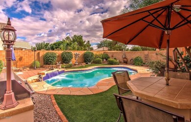 back yard 2
