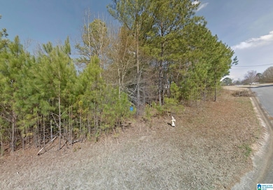 151 Plantation Dr, Pell City, AL 35128 - photo 3