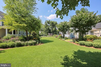 3605 Farragut Ave, Kensington, MD 20895 - photo 6