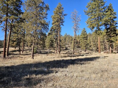 20231128_104014_resized