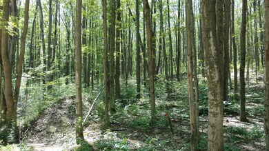 0 Wilderness Trail unit 314703, Vanderbilt, MI 49795 - photo 7