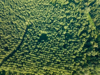 1 Edgerly Rd, Dequincy, LA 70633 - photo 7