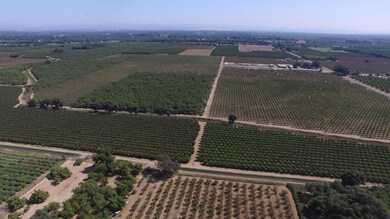 242 W Evans Reimer Rd, Gridley, CA 95948 - photo 3