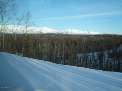 Views of the Talkeetnas!