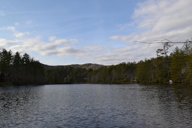 66 Grandview Ct, Sapphire, NC 28774 - photo 4