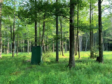 00 Elk Rd, Heath Township, PA 15860 - photo 4