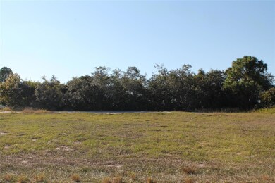 0 Rocky Point Rd, Lake Wales, FL 33898 - photo 4