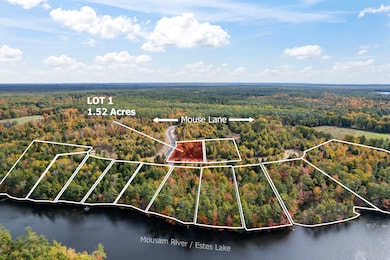 Branch View Estates