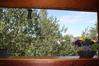 Your view!