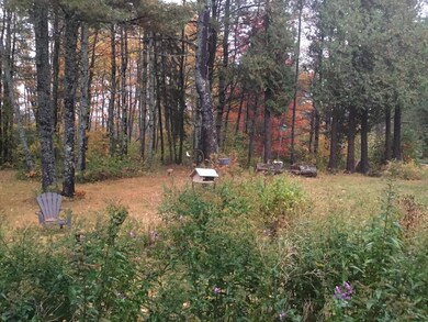 Reed fall picture