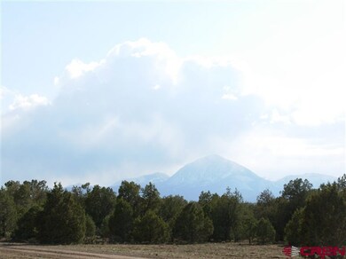 0 Road 21 9 unit 689350, Cortez, CO 81321 - photo 5