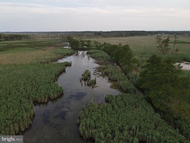 2673 Wesley Church Rd, Crapo, MD 21626 - photo 5