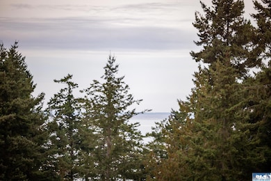 382 Discovery View Dr, Sequim, WA 98382 - photo 4