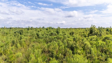 11ac Ouzts Rd, Edgefield, SC 29824 - photo 5