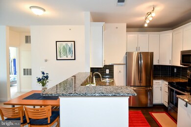 22655 Blue Elder Terrace unit 302, Ashburn, VA 20148 - photo 3
