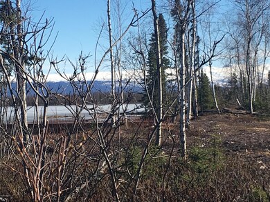 Several trees for privacy