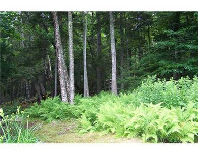 Yard/Garden. Back Yard surronded by...