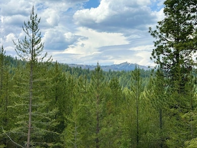 Lot 40 Challis Ln unit 40, Cascade, ID 83611 - photo 2