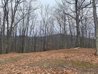 IMG-3596