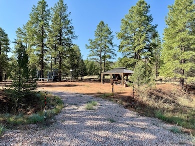 19 W Bobcat Dr, Ramah, NM 87321 - photo 3