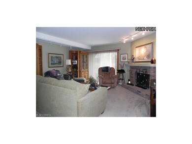 Living Room with woodburing fireplace.