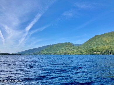L48 Klawock Lake Rd, Klawock, AK 99925 - photo 7