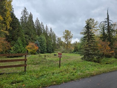 22123 NE 170th Place, Woodinville, WA 98077 - photo 7