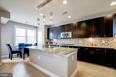 2213 Main Line Blvd unit 102, Alexandria, VA 22301 - photo 4
