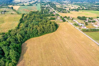 DJI_0890